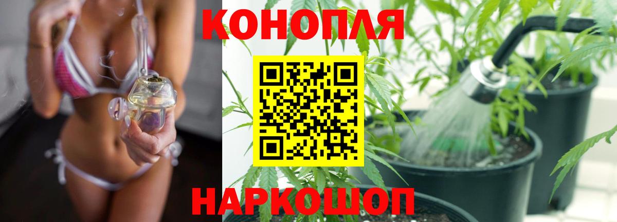 МАРИХУАНА планчик Краснодар